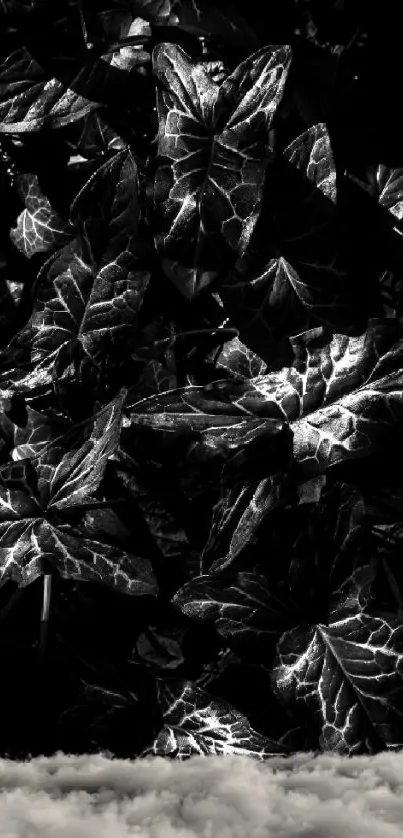 Black and white leaves with clouds wallpaper.