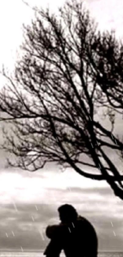 Silhouette of a lone tree with person sitting under a moody gray sky.