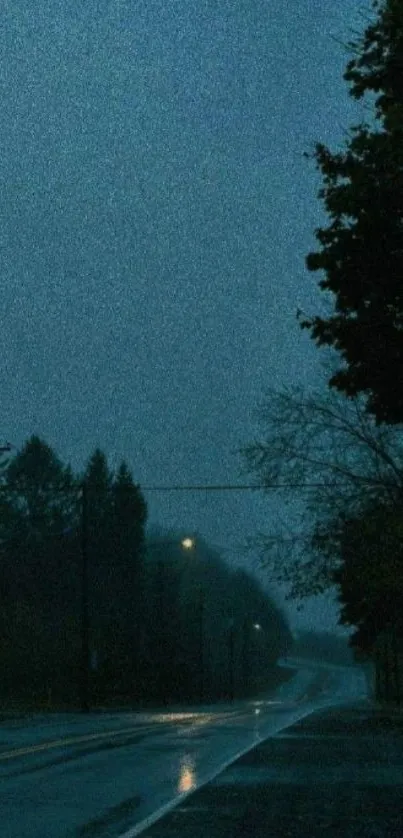 Misty nighttime road with trees and fog.