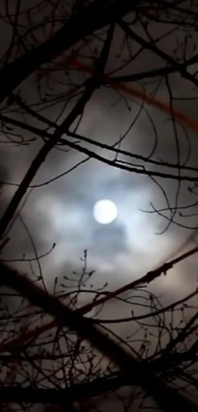 Moody night scene with moon and branches, perfect for phone wallpaper.