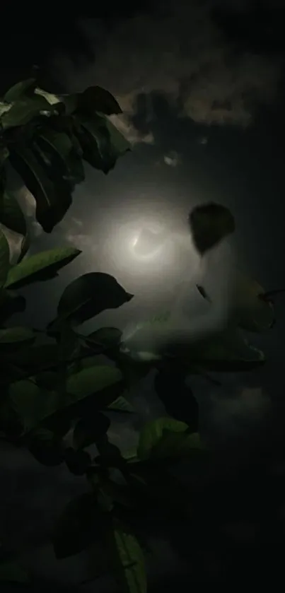 Moody night wallpaper with moon and leaves.