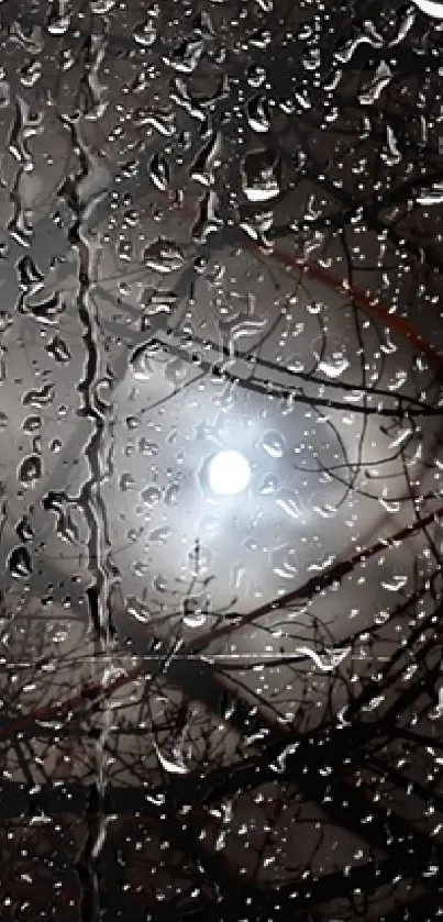 Raindrops on glass with moonlight in the background, creating a serene night scene.