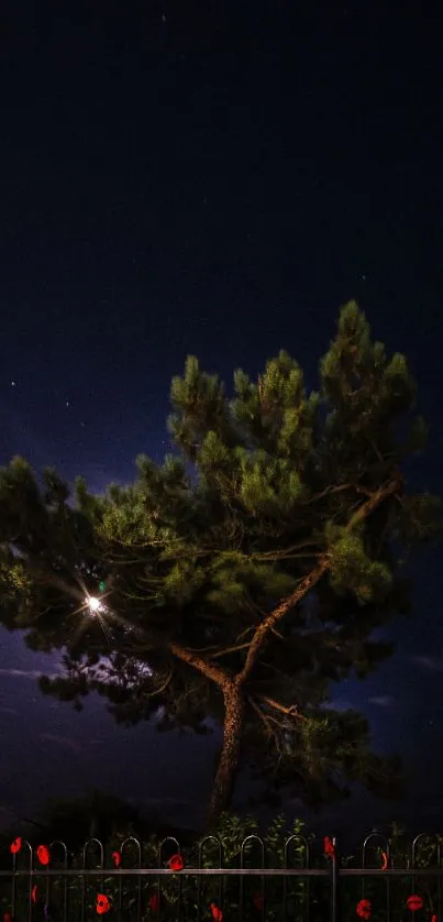 A silhouetted tree under a moody night sky with distant stars.