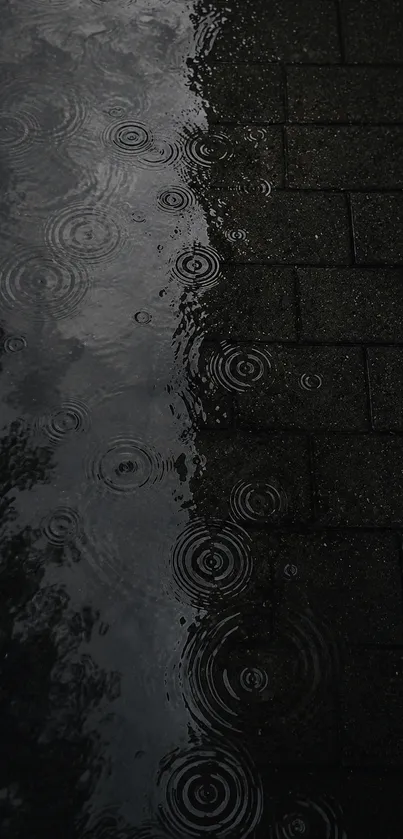 Raindrop ripples on a dark surface creating a moody pattern.