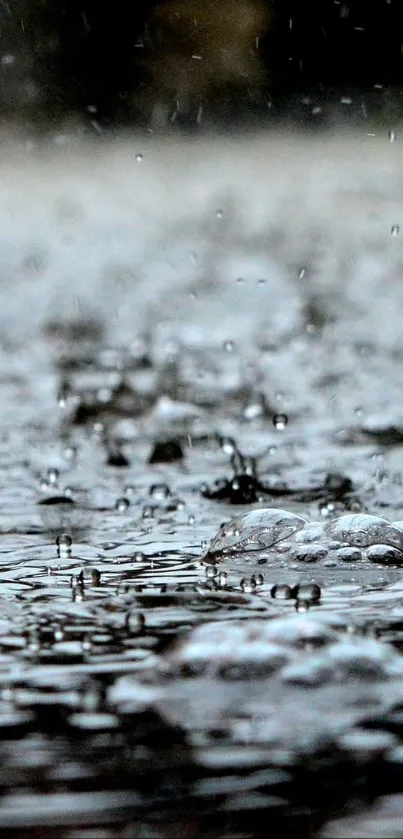 Splashing raindrops on a reflective surface in gray tones.