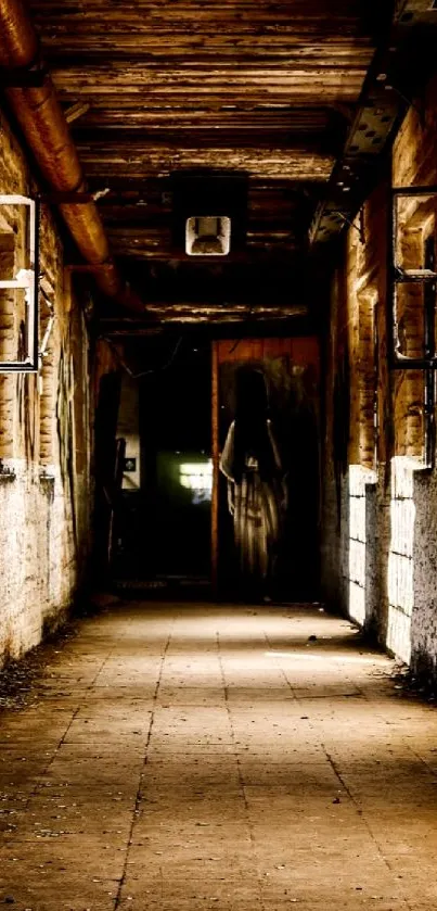 Rustic corridor with warm lighting and vintage textures.