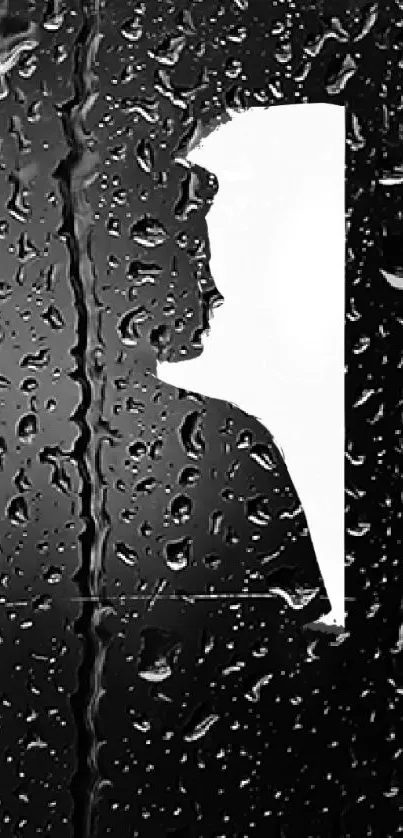 Silhouette seen through rain-soaked window.