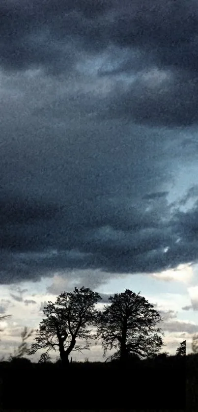 Silhouetted trees under dark, dramatic clouds during evening.