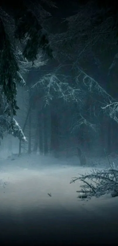 Moody snowy forest path surrounded by dark trees.