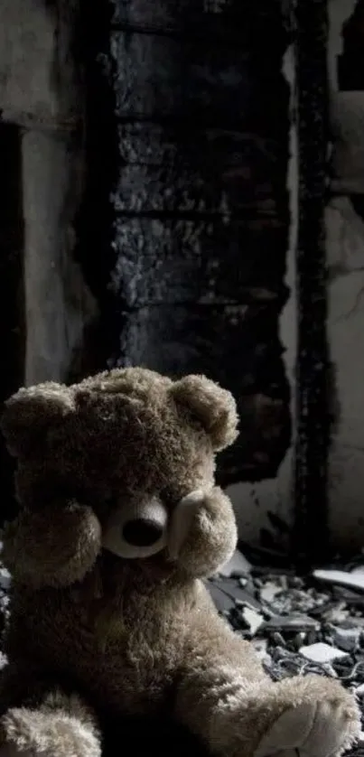 Moody teddy bear sitting in dark shadows.