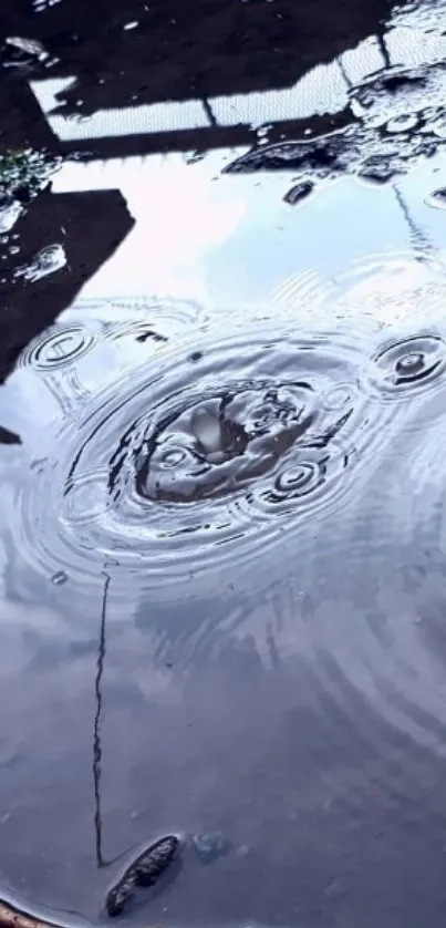 Moody water ripple with reflection effect.