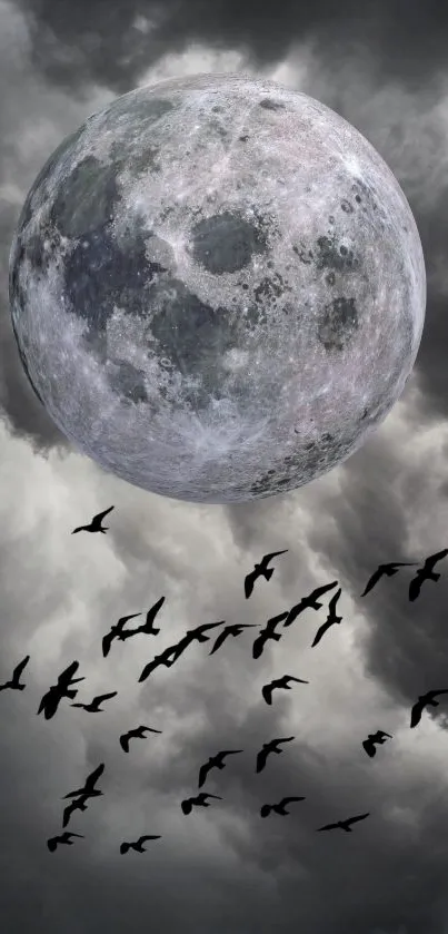 Full moon and birds against a cloudy night sky wallpaper.