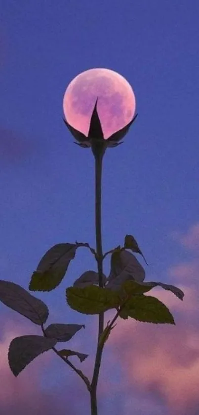 A pink moon nestled in a rosebud against a twilight sky.