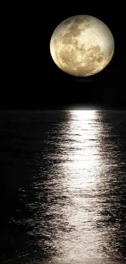 Full moon reflecting on a tranquil ocean at night.