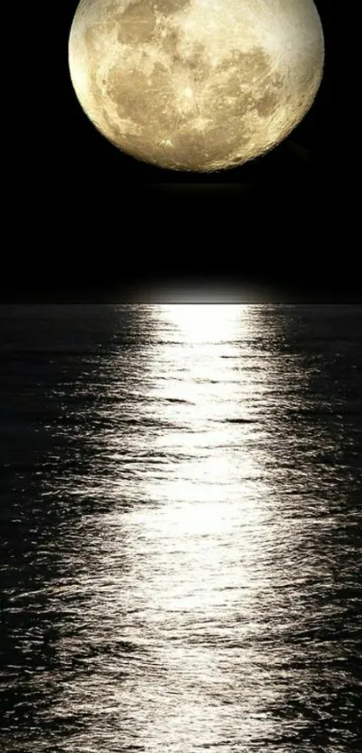 Full moon reflecting over a tranquil ocean at night.