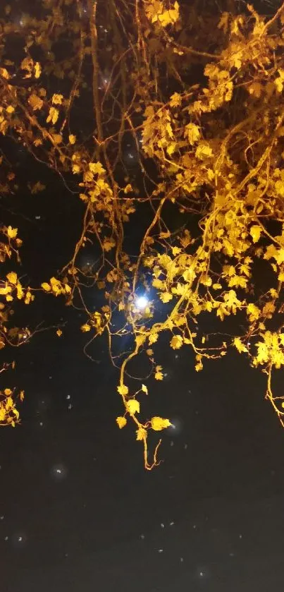 Golden leaves and moon in night sky wallpaper.