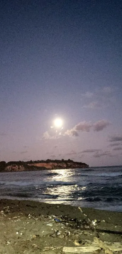 Moonlit beach with waves and a night sky.