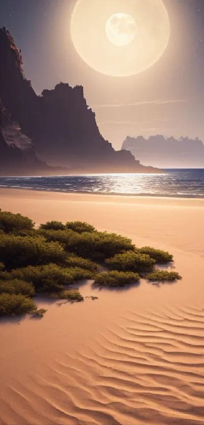 Moonlit beach with cliffs and ocean under night sky on mobile wallpaper.