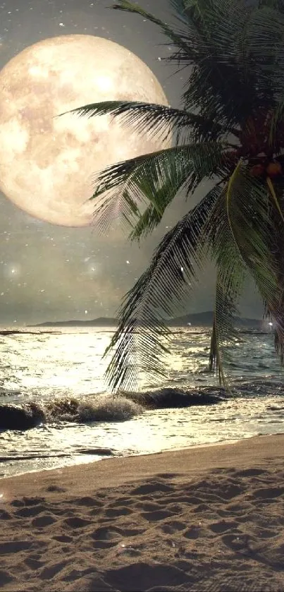 Moonlit beach with palm tree and ocean waves at night.