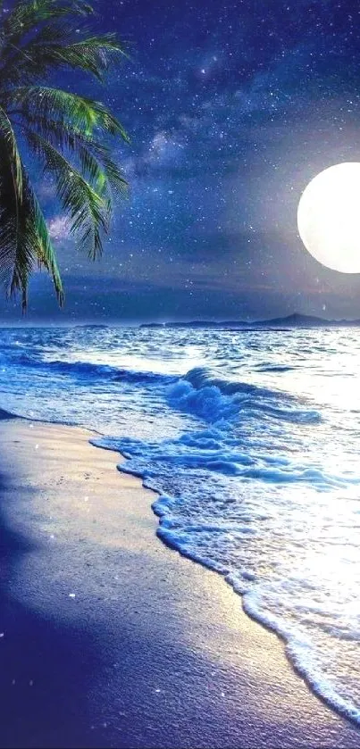 Moonlit beach with palm tree and glowing ocean under night sky.