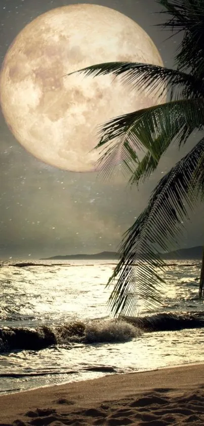 Moonlit beach with full moon and palm trees reflecting over ocean waves.