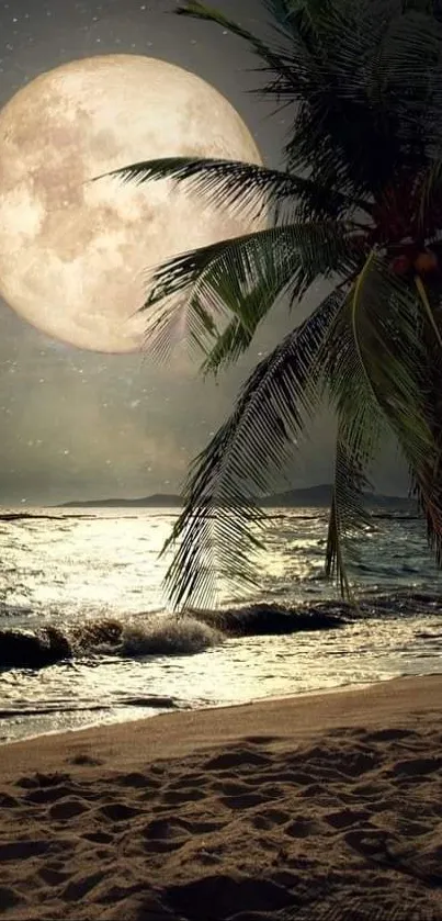 Moonlit beach with palm tree and ocean waves under a full moon.