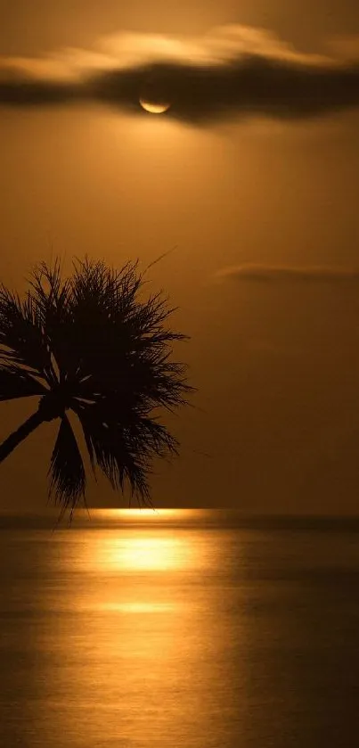 Moonlit beach with palm trees and ocean reflection.