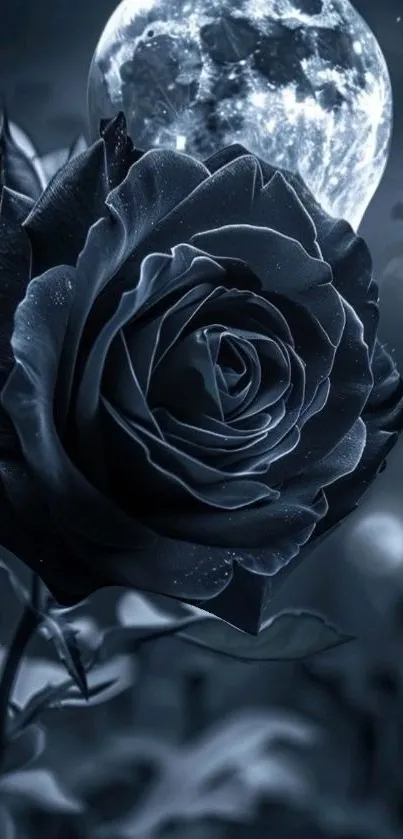 Moonlit black rose with glowing full moon backdrop.