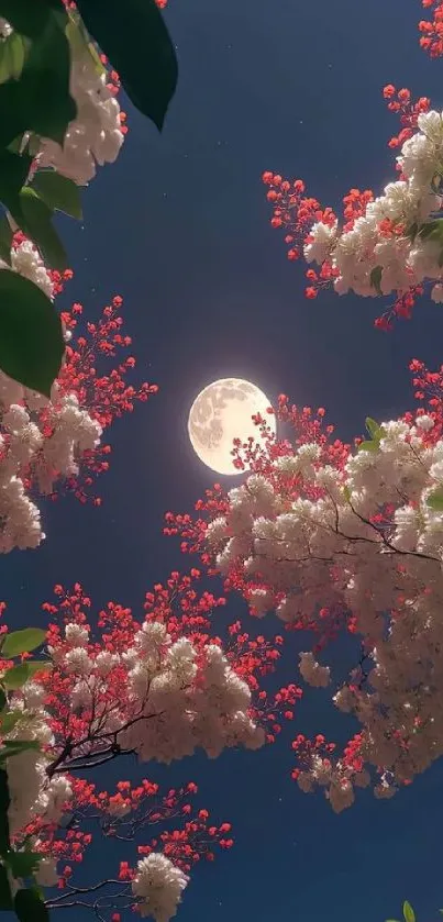 Full moon illuminating cherry blossoms against a dark night sky.