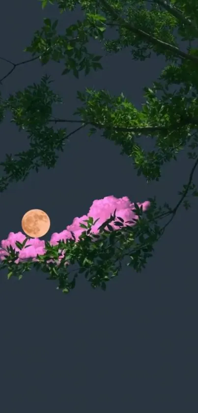 Moonlit branches with pink clouds and a full moon in the night sky.