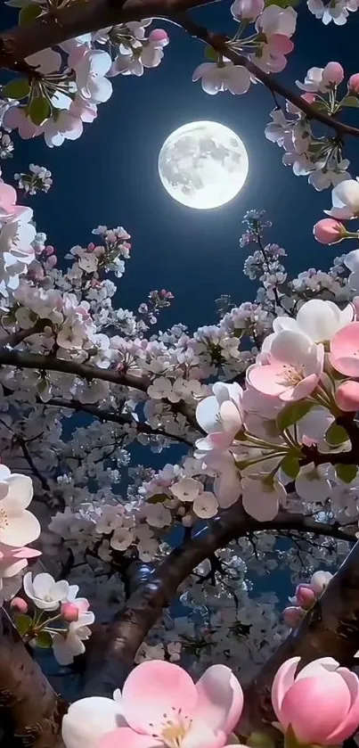 Cherry blossoms under a full moon night.
