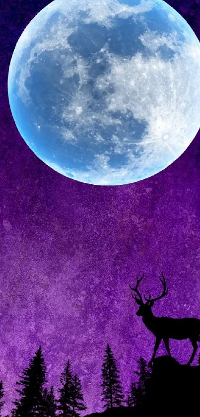 Majestic deer silhouette against a purple moonlit sky with stars.