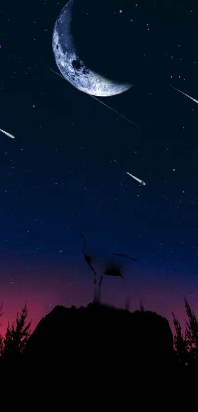 Night sky with moon, stars, and deer silhouette.