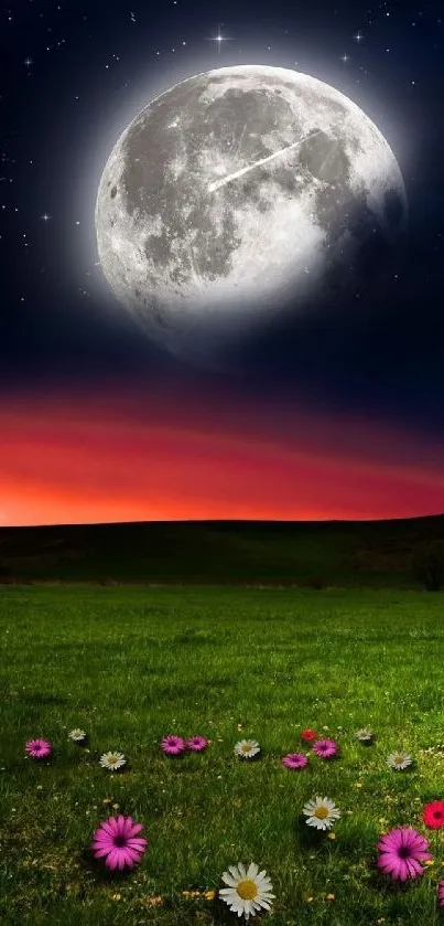 Moonlit field with daisies under a starry sky background.