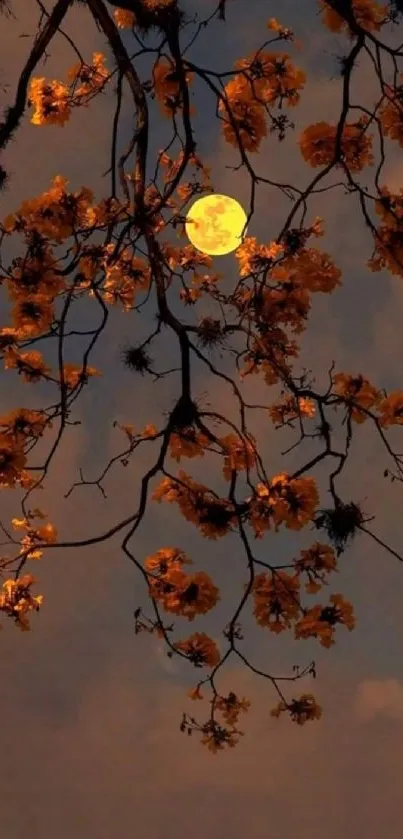 Moonlit floral branch with orange blossoms against dark sky.