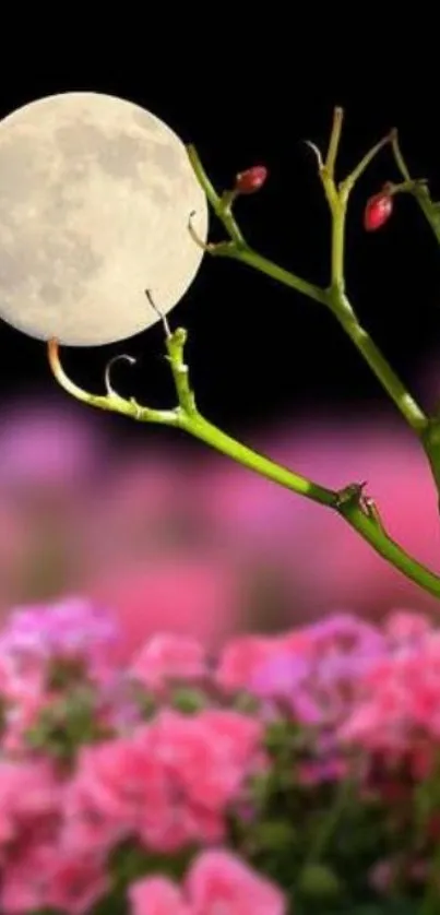 Moon with pink flowers under a black sky.