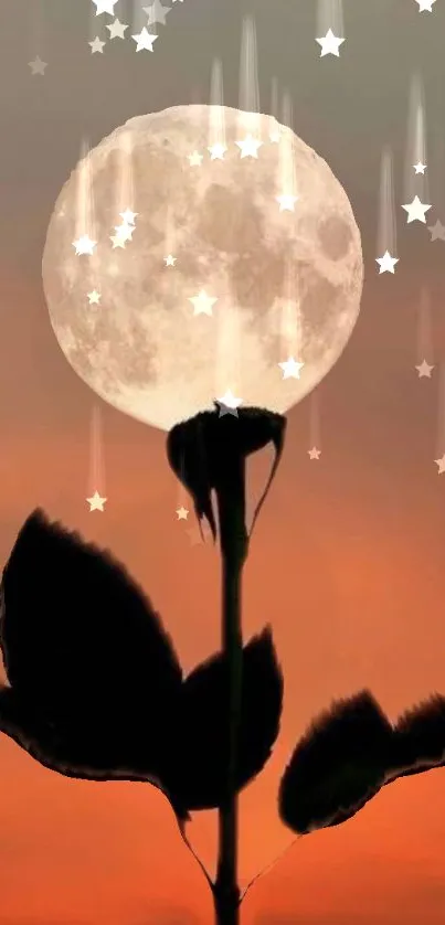 Silhouette of a flower under a starry moonlit sky.