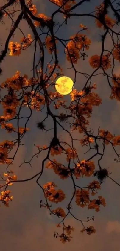 Moonlit flowers on tree branches against night sky.