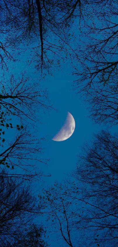 Crescent moon in a tranquil night sky with silhouetted trees in the foreground.