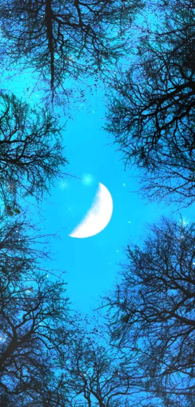 Moonlit night sky with forest silhouettes and a crescent moon.