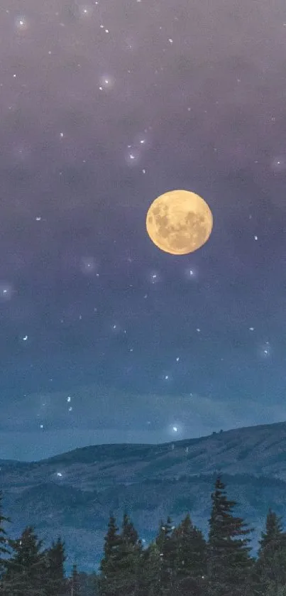 Full moon and stars above a forested landscape at night.