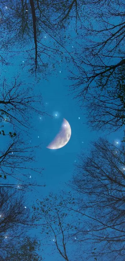 Crescent moon shining through tree branches against a dark blue night sky.