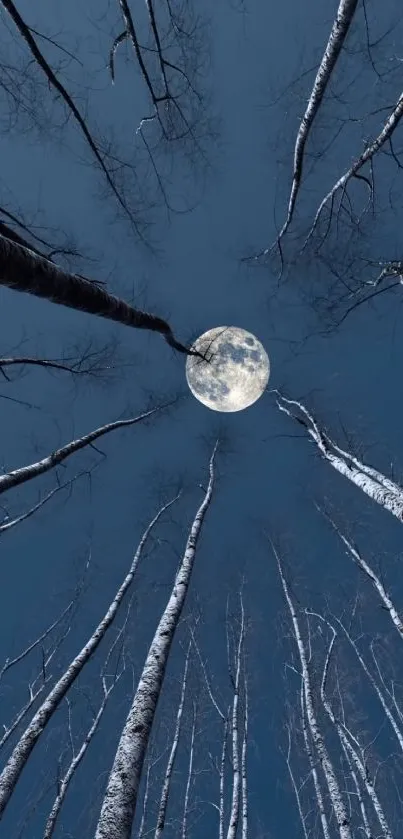 Moonlit forest with bare trees and full moon in dark blue night sky.