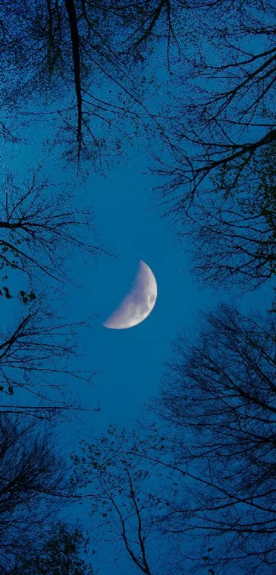 Moonlit night sky with trees and crescent moon.