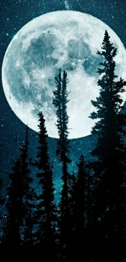 Moonlit forest under a starry night sky, perfect for mobile wallpaper.