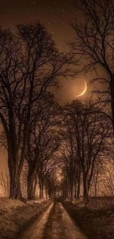 Moonlit forest pathway under starry night sky wallpaper.