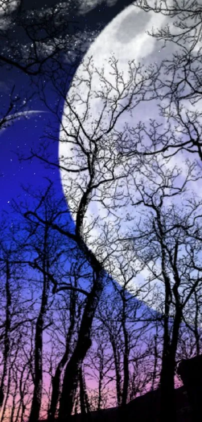 Silhouettes of trees against a moonlit twilight sky.