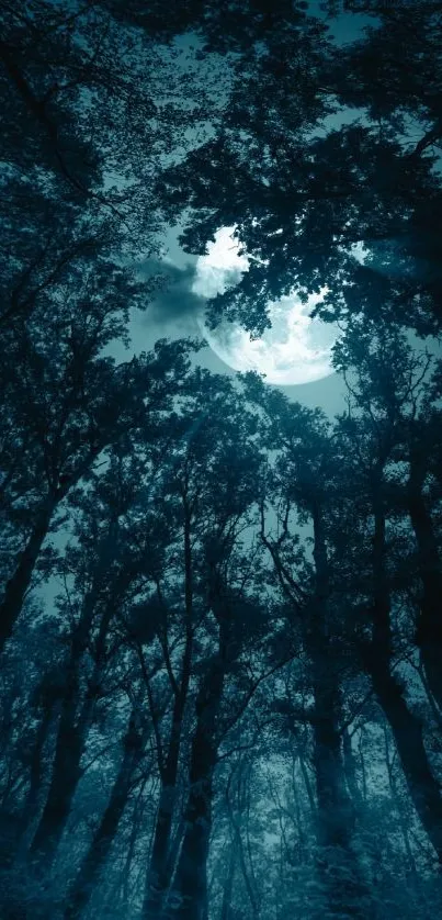 Moonlit forest with silhouettes of trees and glowing night sky.