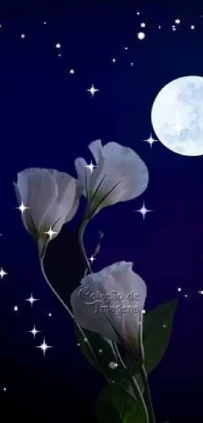 Moonlit heart with stars and flowers against a midnight blue sky.