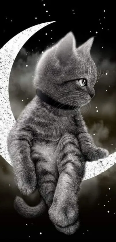 Cute kitten sits on a sparkling moon with a starry black background.